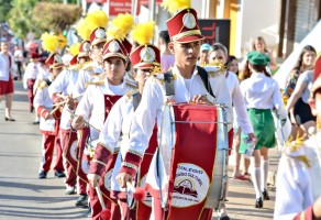 Desfile Cívico 2019