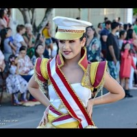 Desfile Cívico 2019